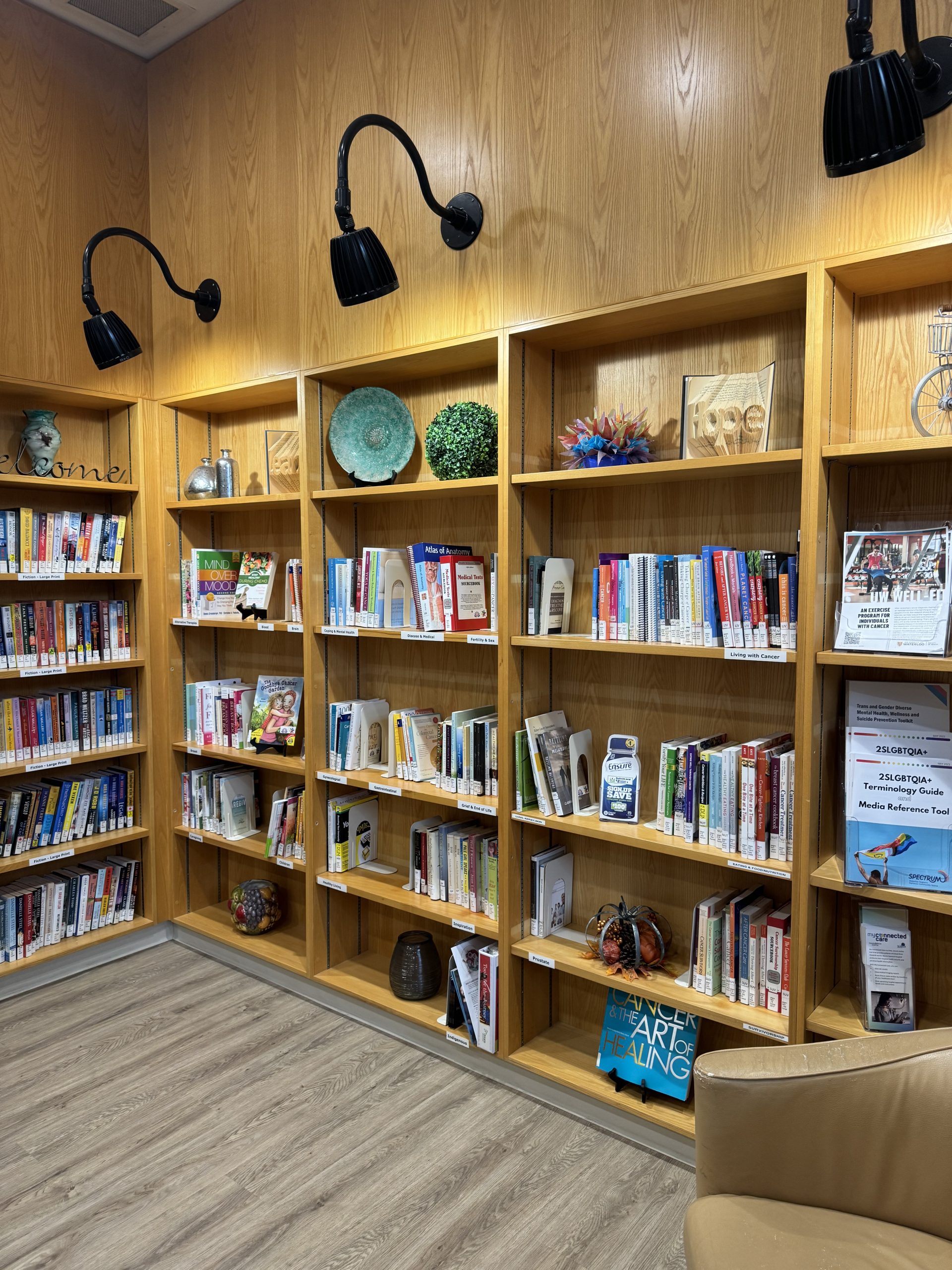 Bookshelves filled with books, decorative objects, and reading materials in a well-lit library corner with wooden walls.